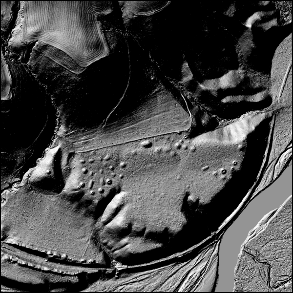Lidar map showing the mounds present at the Belle Creek archaeological preserve in Minnesota